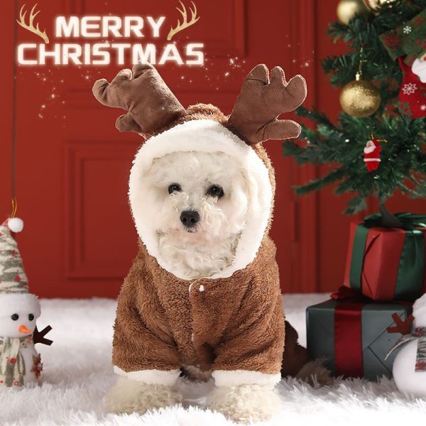 Cozy Christmas Teddy Dog Hoodie, Warm and Playful