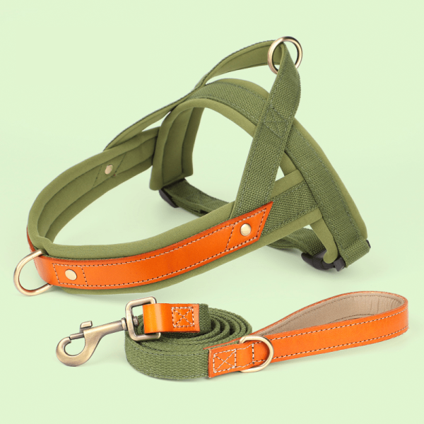 74ab49ac-f655-473c-9476-6c26c7463ba8.png Dual Clip Control Dog Harness Vest, Reliable Design