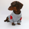 74d1c937-15b4-4068-a358-e2b2c1a11365.png Festive Dachshund Dog Hoodie, Cheerful Holiday Style