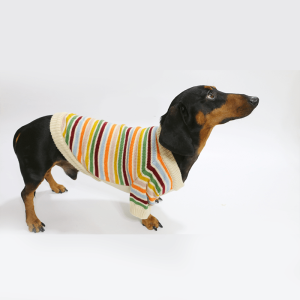 Cozy Striped Dachshund Dog Sweater, Classic Pattern
