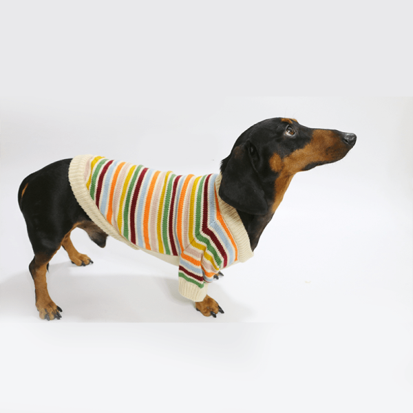 753e9b26-ca75-4cfc-a289-18e99320db54.png Cozy Striped Dachshund Dog Sweater, Classic Pattern