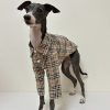 Fashionable Italian Dog Whippet Shirt, Sleek Style