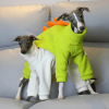 7698f21d-393f-418b-8d65-f384be702e5e.png Cozy Fleece Italian Greyhound Dog Onesies, Plush Comfort