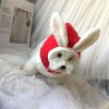 77fcfe3f-7a8f-46b7-b58d-75e13bcb1e62.jpg Festive Christmas Dog Fleece Hat, Cozy Holiday Style
