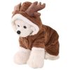 Cozy Christmas Teddy Dog Hoodie, Warm and Playful