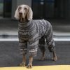 7e4dfae4-f0b2-4991-9f7d-1e4fe000619a.jpg Cozy Big Dog Christmas Sweatshirt, Festive Holiday Style