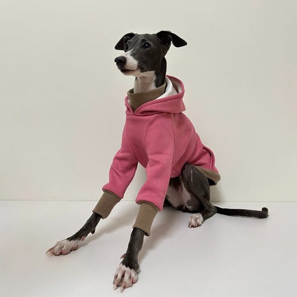 808ed6d0-b36d-432e-ac24-98ad7a5b2c30.jpg Cozy Greyhound Dog Hoodie, Simple and Warm