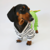 Dinosaur Dachshund Dog Onesies, Playful Design
