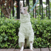 83e40c51-f1ee-4a75-bb93-0d1e10550f59.png Double Fleece Italian Greyhound Dog Onesies, Extra Warm
