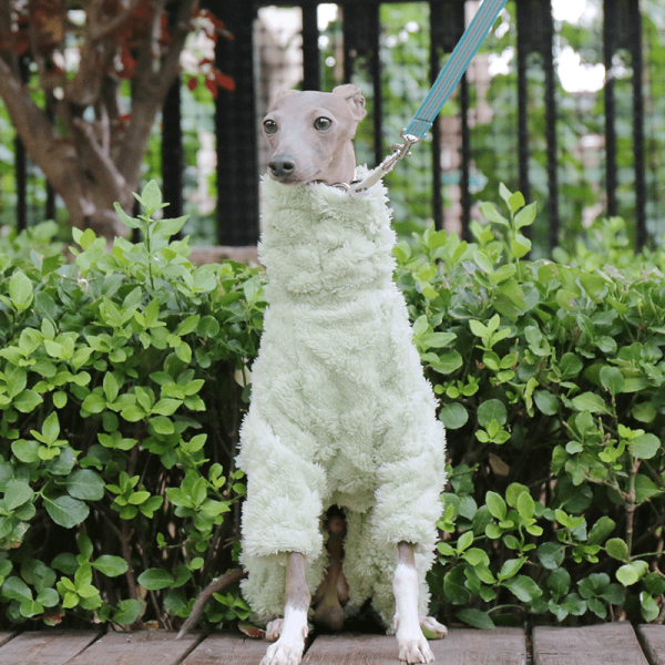83e40c51-f1ee-4a75-bb93-0d1e10550f59.png Double Fleece Italian Greyhound Dog Onesies, Extra Warm