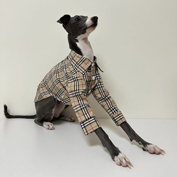 Fashionable Italian Dog Whippet Shirt, Sleek Style