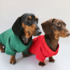 84970ce4-485c-4776-ab24-6dd5f1ec867a.png Festive Dachshund Dog Hoodie, Classic Holiday Wear