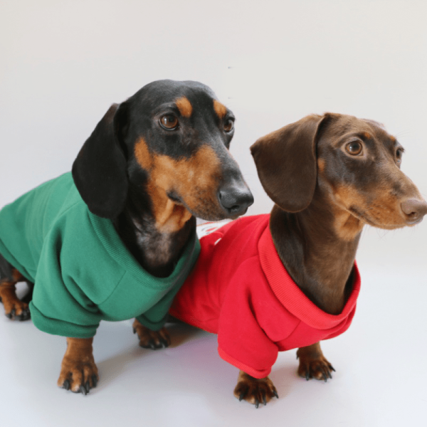 84970ce4-485c-4776-ab24-6dd5f1ec867a.png Festive Dachshund Dog Hoodie, Classic Holiday Wear