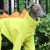 877c815f-7ae7-4788-980e-c00b60657a03.png Cozy Fleece Italian Greyhound Dog Onesies, Plush Comfort
