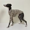 Fashionable Italian Dog Whippet Shirt, Sleek Style