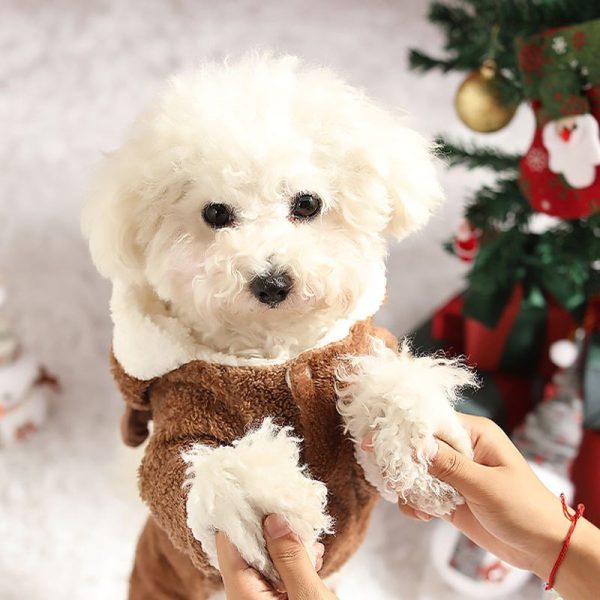 Cozy Christmas Teddy Dog Hoodie, Warm and Playful