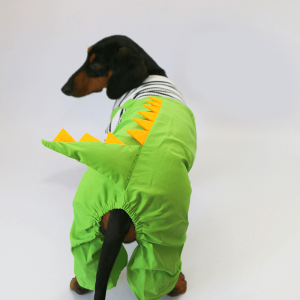 Dinosaur Dachshund Dog Onesies, Playful Design