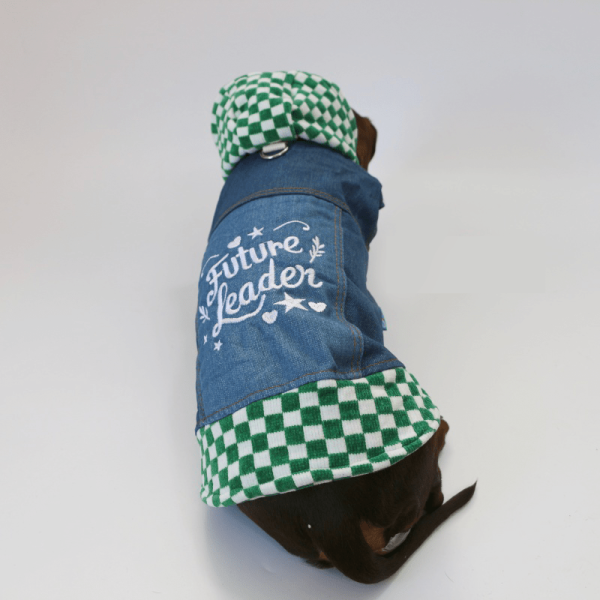 904dd84b-3ab4-45c1-bc7e-d3cb124f9699.png Denim Patchwork Dachshund Hoodie Jacket, Trendy Style