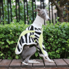 95c41e27-e189-4bd7-9313-47cdf5514284.png Cozy Italian Greyhound Dog Sweater, Classic Knit