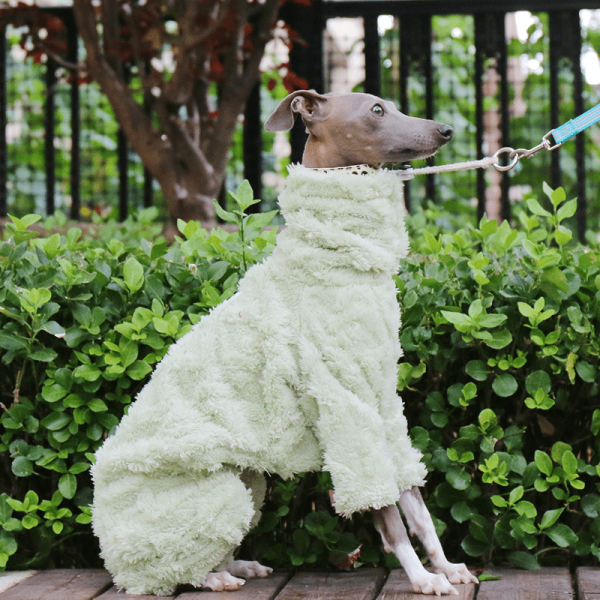99018c07-31cb-4188-ac0f-6b7a015ed0f2.png Double Fleece Italian Greyhound Dog Onesies, Extra Warm