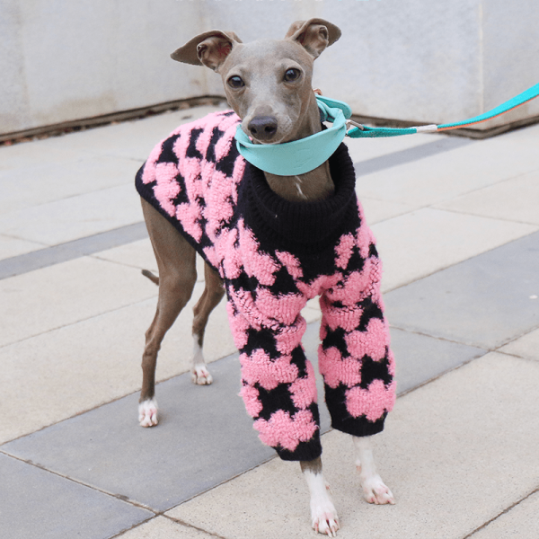Embroidered High Neck Greyhound Dog Sweater, Classic Style