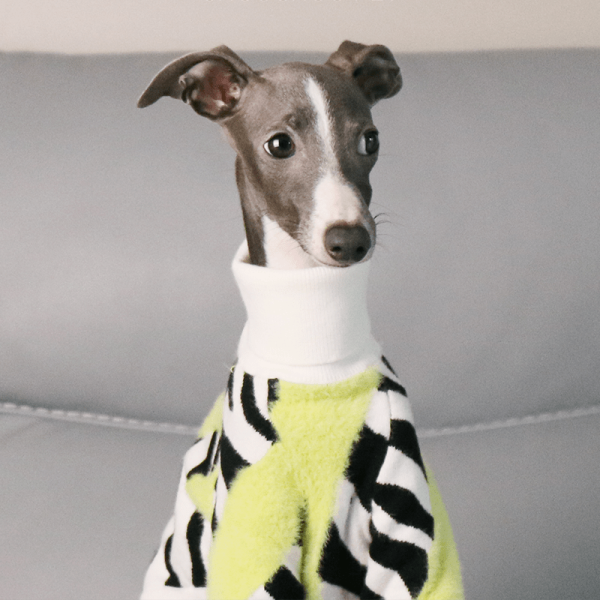 9ce530bb-f382-4807-a241-6106eb92704a.png Cozy Italian Greyhound Dog Sweater, Classic Knit