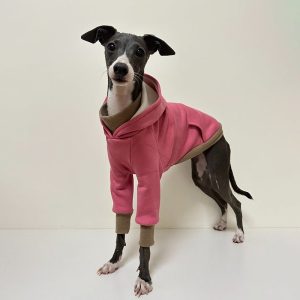 Cozy Greyhound Dog Hoodie, Simple and Warm