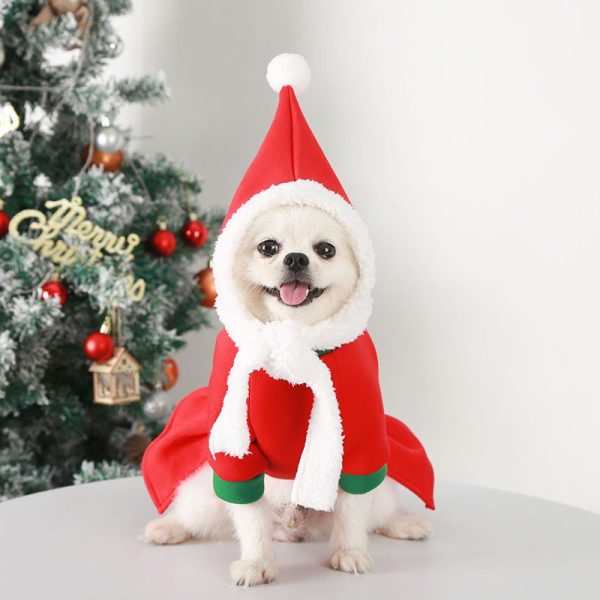 a603e3e8-a855-42f0-9916-bbb091d2cafd.jpg Festive Christmas Dog Hoodie Outfit, Playful Holiday Look