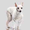 a62ab878-8180-4c34-999c-a6c87aa5a836.jpg Double Polar Fleece Italian Greyhound Shirt, Soft Warmth