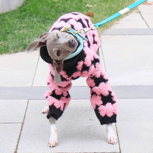 Embroidered High Neck Greyhound Dog Sweater, Classic Style