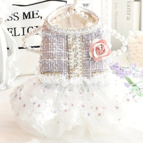 Fashionable Tweed Lace Teddy Poodle Dress, Chic Style