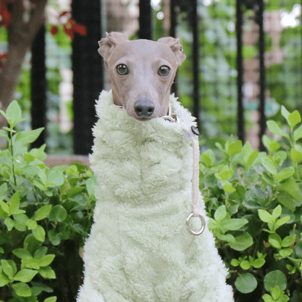 ae1e0dea-b3a5-4f51-a1a8-087ed736de69.png Double Fleece Italian Greyhound Dog Onesies, Extra Warm