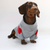 ae340609-121a-448d-a3aa-e6dd8b43890f.png Festive Dachshund Dog Hoodie, Cheerful Holiday Style