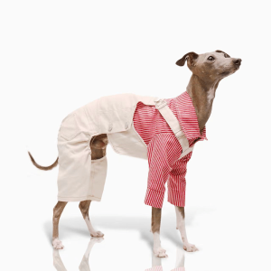 af55e5bf-3f6b-473c-af92-ed40386c0d23.png Adorable Cotton Dog Pants Clothes Pinafore Denim