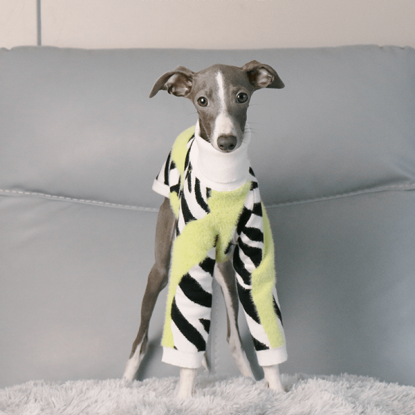b0eb9ef5-7f54-4152-b30f-ff9222daa656.png Cozy Italian Greyhound Dog Sweater, Classic Knit