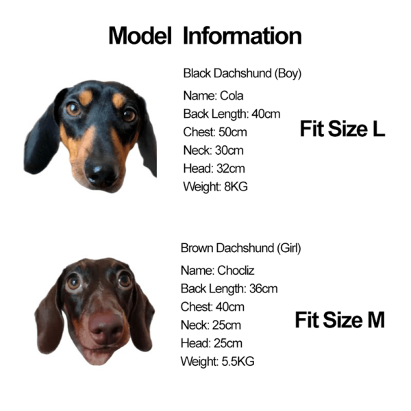b60f5214-4279-4d61-bca8-73542d0618cf.png Cozy Fleece Dachshund Dog Hoodie, Snug Fit
