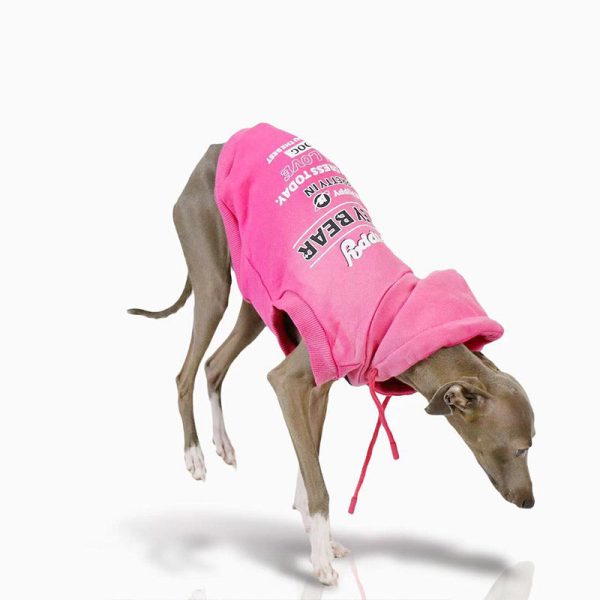 b6930ac4-6b43-49bb-a843-3acfa07006c8.jpg Cozy Italian Dog Cotton Hoodie, Breathable Comfort