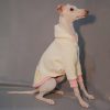 b80c13c0-a7ce-41d2-9deb-4c7e5be59216.jpg Cozy Fleece Italian Greyhound Hoodie, Soft Everyday Wear