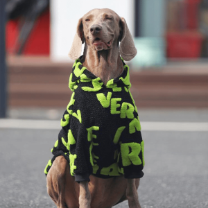 Cozy Fleece Big Dog Hoodie, Soft and Warm