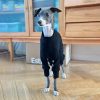 Adorable Cotton Soft Italian Greyhound Onesie