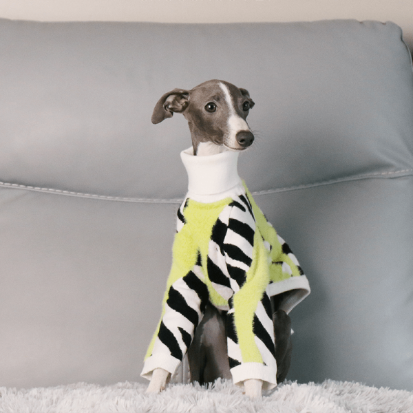 c3549b6a-9c39-4fd7-9f42-0ca028773656.png Cozy Italian Greyhound Dog Sweater, Classic Knit