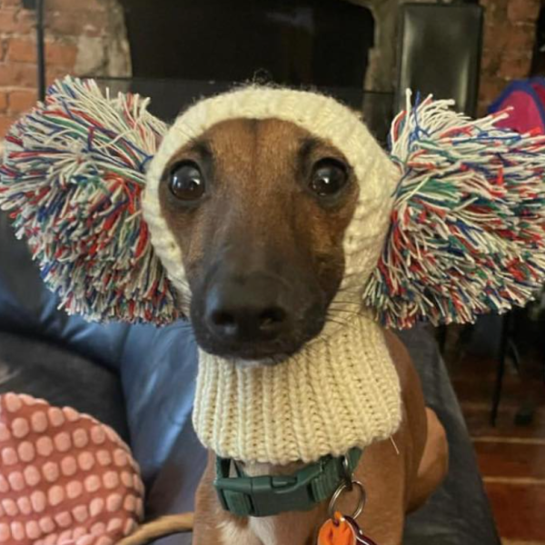 c3f5197f-64d5-4e3c-a240-b0c58348f4b4.png Cozy Knitted Dog Pom Beanie Hat, Cute Winter Accessory
