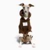 c6a329f6-cde8-4d89-9ba3-c6cd3b9c3d63.jpg Cozy Fleece Italian Greyhound Hoodie, Classic Design