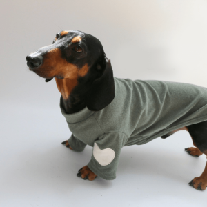 c99634c3-333a-4d9a-aa4c-fbe6c2156c08.png Cozy Knit Dachshund Dog Sweatshirt, Charming Design