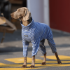 ca36d16d-98ff-4a0b-a1e7-627b33946e66.png Cozy Big Dog Cotton Onesies for All-Day Comfort