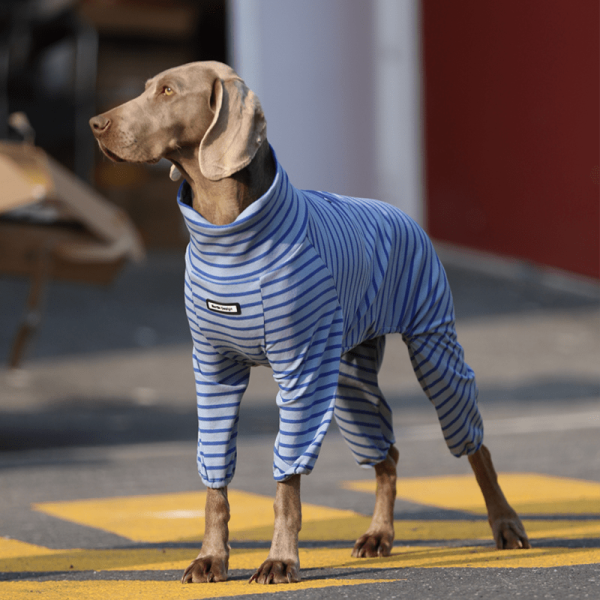 ca36d16d-98ff-4a0b-a1e7-627b33946e66.png Cozy Big Dog Cotton Onesies for All-Day Comfort