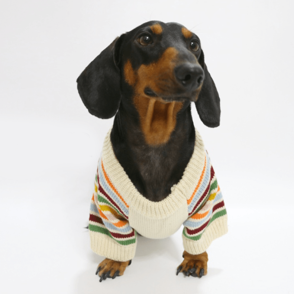 cc0599ee-459a-4565-bc72-d5272c8b3353.png Cozy Striped Dachshund Dog Sweater, Classic Pattern