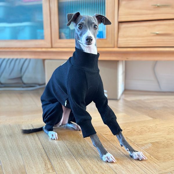 Adorable Cotton Soft Italian Greyhound Onesie