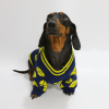 cf67f780-7d01-48bd-86ab-51054b94138e.png Cozy Knitted Dachshund Dog Sweater, Timeless Style