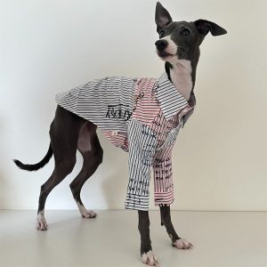 cf769cfe-4832-4fd2-86ad-c210dd1e6e44.jpg Fashionable Italian Greyhound Cotton Shirt, Breathable Style